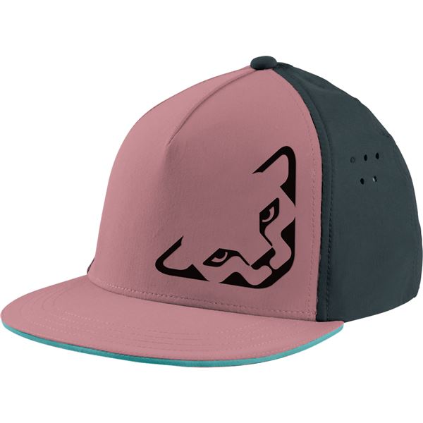 Dynafit Tech Trucker Cap